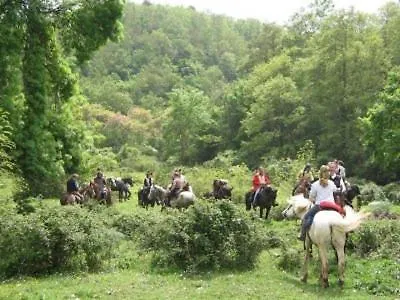 28- Cantele House In Tuscany - Feste&Sagre - Relax E Sport Castel del Piano